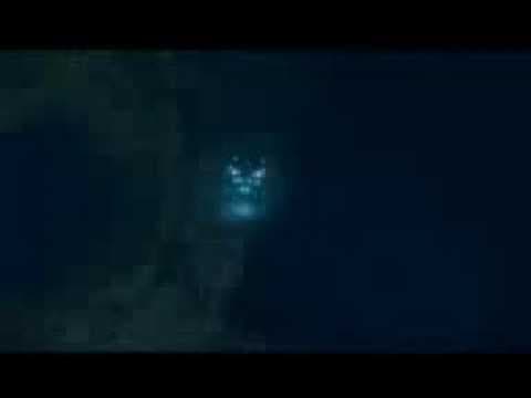 MEGALODON THE MOVIE