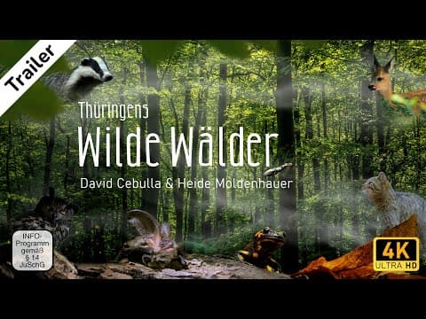 Trailer "Wilde Wälder" | David Cebulla Naturfilme  [4K]