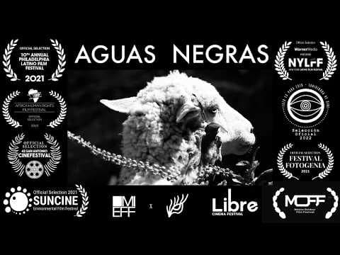 Aguas Negras Trailer (2021)