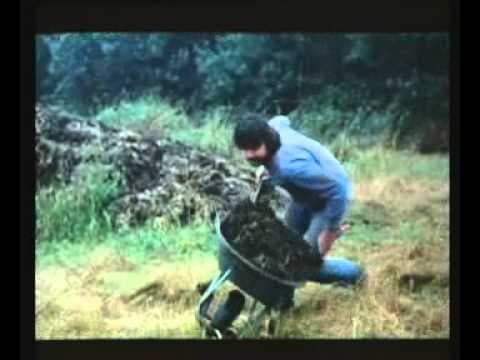AFTERMAN TRILOGY - AFTERMAN AS A SLAVE
