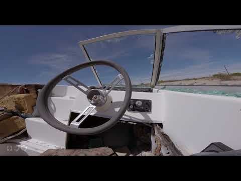 Hungry - Trailer | IFFR 2026