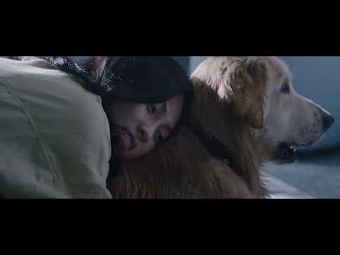 INVISIBLE EVIDENCE Official Int'l Teaser Trailer