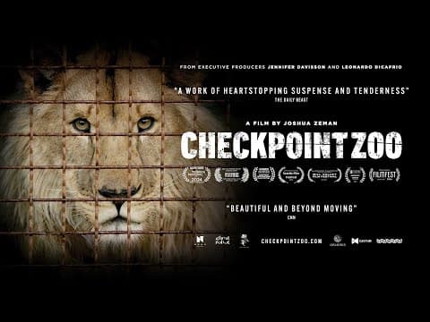Official Trailer [Subtitled]