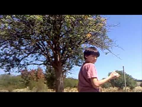nestling | голишар (2026) - trailer