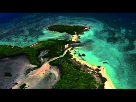 Great Barrier Reef [Blu-ray & DVD 5th April]
