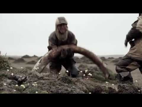 Genesis 2.0 - Trailer