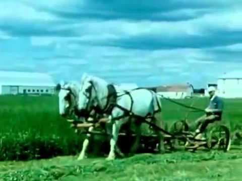 Au royaume du Saguenay