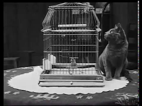 A Little Hero (1913)