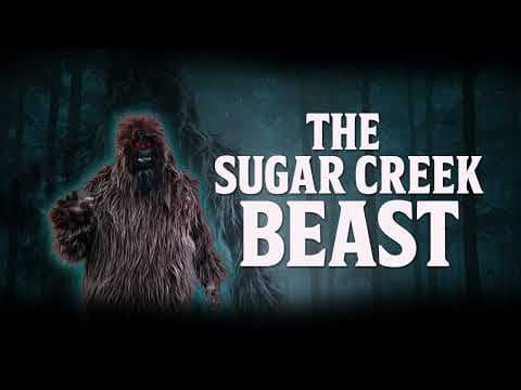 Sugar creek beast