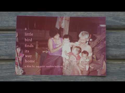 นกเล็ก (a little bird finds its way home) (2026) | Trailer