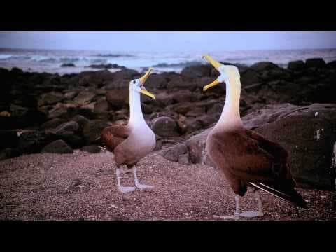 TV Spot (Short Version)