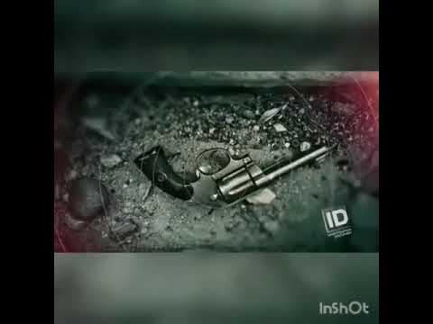 The Perfect Suspect