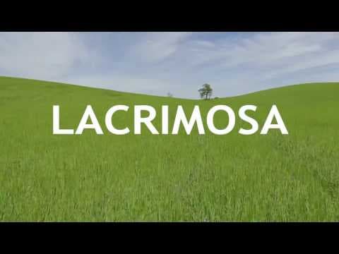 Lacrimosa Official Trailer #2