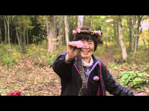 에코테라피 여행 | Ecotherapy Getaway Holiday