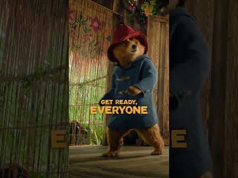 One week, one bear, one big adventure. In cinemas from next Friday!