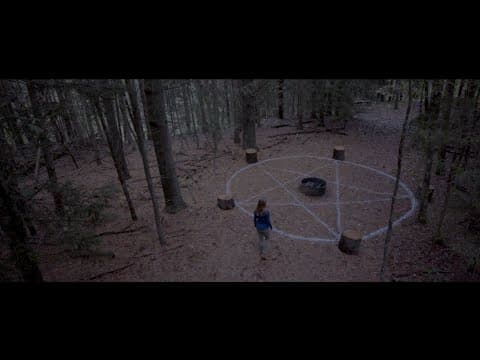 Below the Trees | Trailer