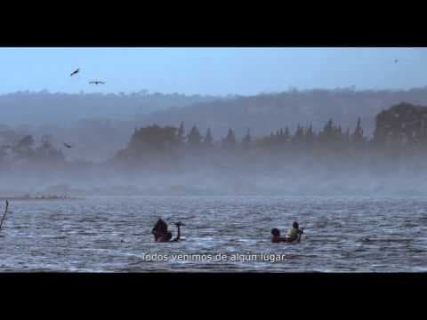 Trailer de 'Muros' de Pablo Iraburu y Migueltxo Molina