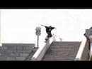 Inline skating pro tour (black market)