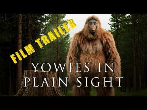 Film Archives: Yowies in Plain Sight | Teaser