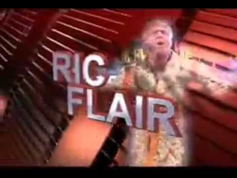 WWE Vengeance 2006 Match Card