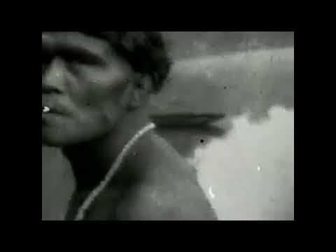 Trailer Os Mortos Resistirão Para Sempre H 264