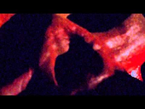 Beneath the Crawlspace Teaser 2