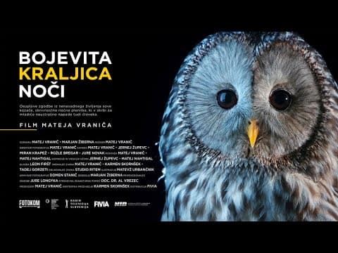 Bojevita kraljica noči | v kinu od 5.10.2024