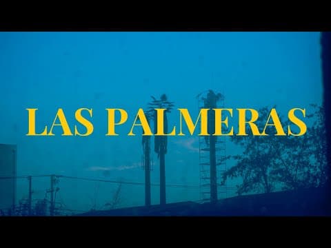 Las Palmeras (Documental Niños del Cerro)