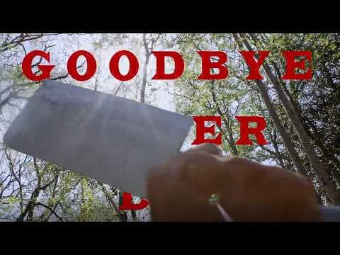 Goodbye Sober Day - Music Video (fanmade)