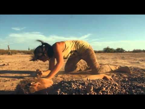 The Wayward Sun Teaser