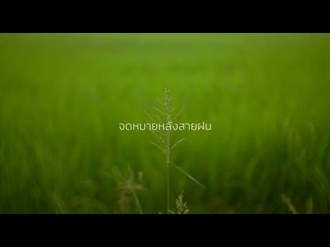 Tester - Letter After Rain | CineFilm Action Film
