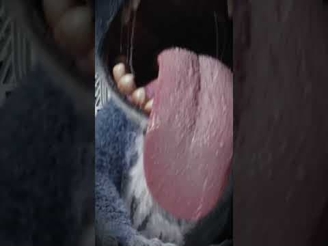 Caught on camera
