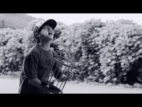 映画『藍色少年少女』予告編
