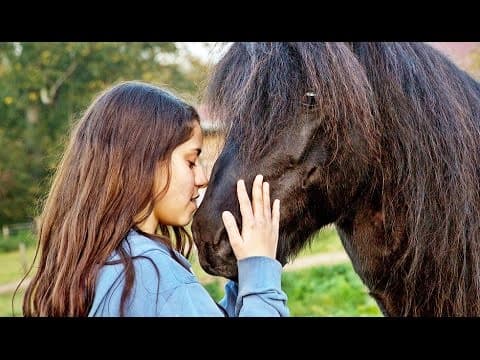 HÖRDUR - ZWISCHEN DEN WELTEN | Trailer [HD]
