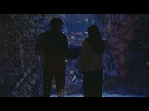 Altar Egos (2025) dir. Mayrav Estrin | Official Trailer