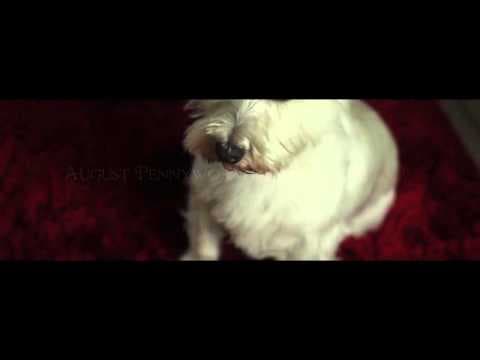 27, Memory Lane - Trailer (2014)