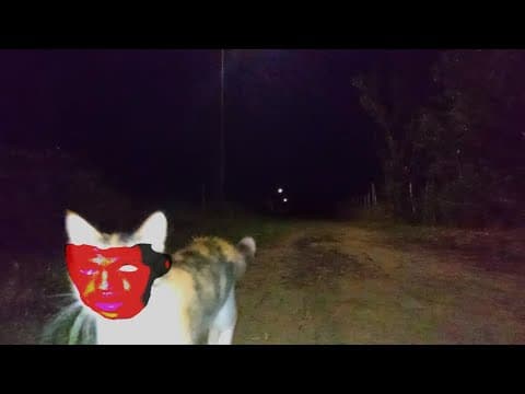 Eu Já Sonhei Com Isso