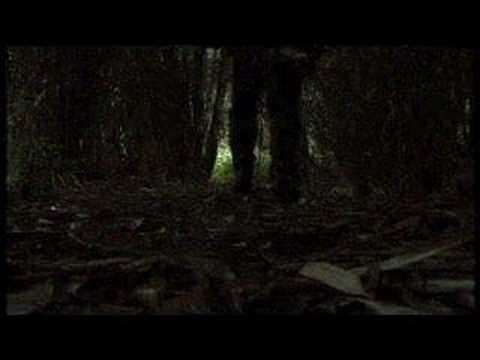 Animal Soup Trailer