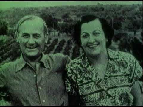 “D’un roig encès: Miró i Mont-roig” (1979), 20 min.