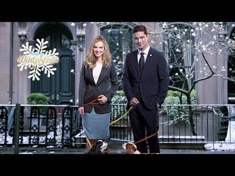 Unleashing Mr. Darcy