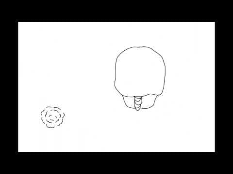 A Day In The Life - The Box teaser