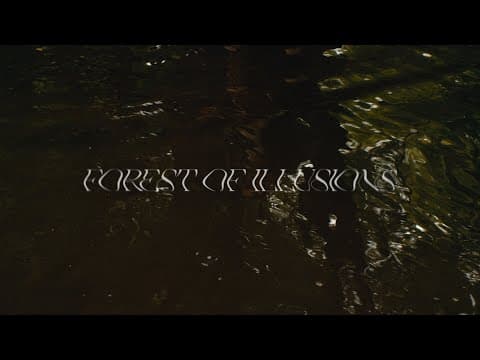 Forest of Illusions - Teaser