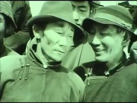 ТАМИРЫН ОХИН КИНОНЫ ХЭСЭГ