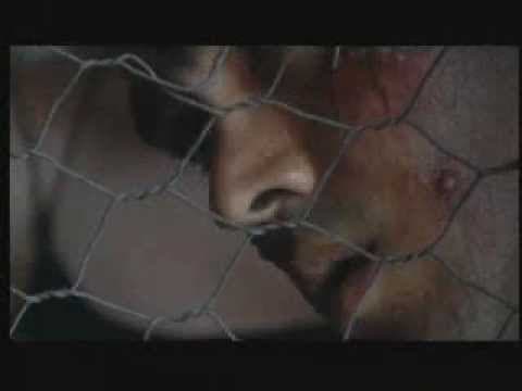 Stringer trailer