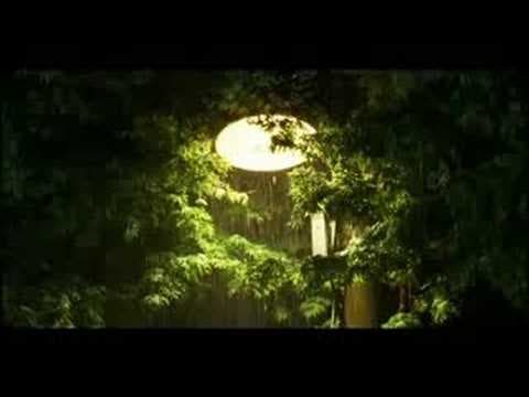 You Are My Sunshine trailer