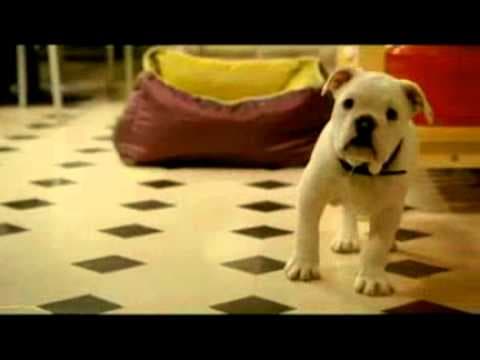 Tresor 2009 Trailer.flv