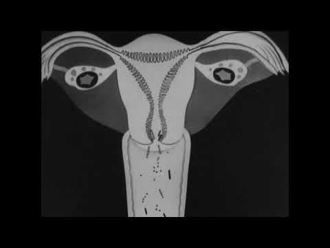7+7: Жінці про жінку / To a woman about a woman