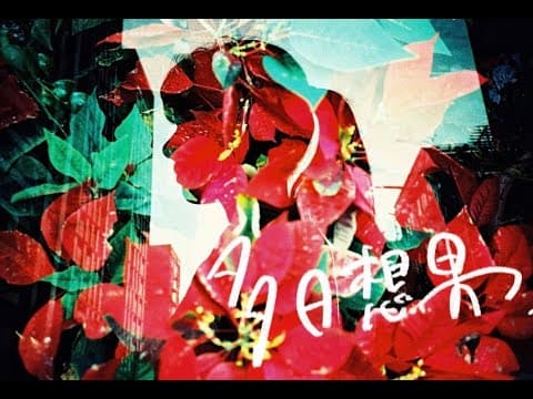 台湾日本合作短編映画『多日想果』（タピオカ）