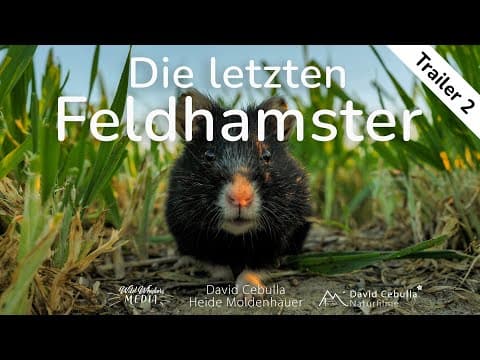 Die letzten Feldhamster | Können wir sie noch retten? | Offizieller Trailer 2 | Deutsch (2025)