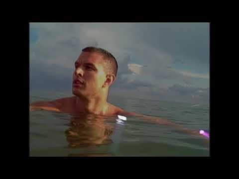 REQUIRED FIELD Trailer - dir. Todd Verow